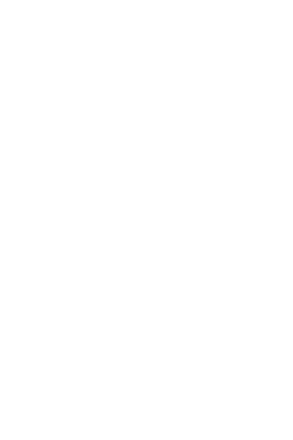 The Caito cat